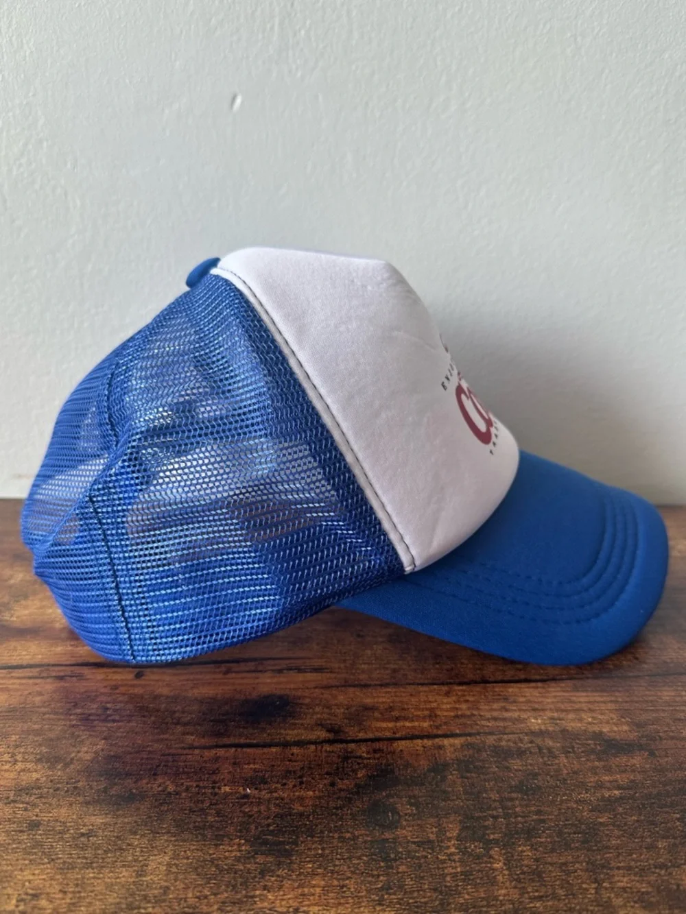Blue Diet Coke Mesh Trucker Hat White Front with Red Writing Adjustable NEW - Picture 2 of 2